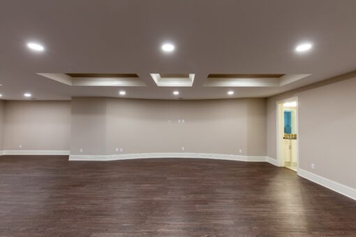 Woodview lower-level room with tray ceiling