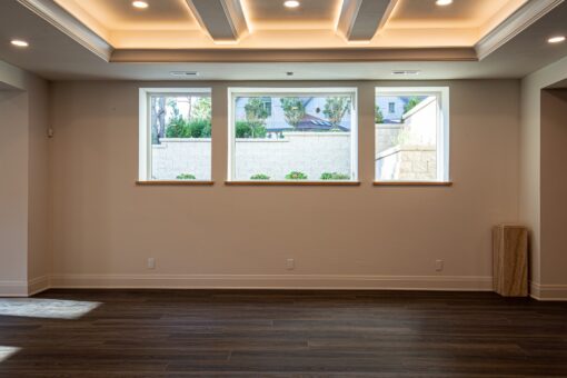 Carlisle lower-level room with windows and wood-look floors