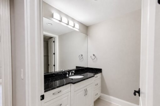 Vizzini custom home in Franklin by Kingfogl – basement - bathroom 2 vanity