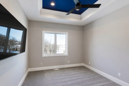 Apex bedroom with navy tray ceiling